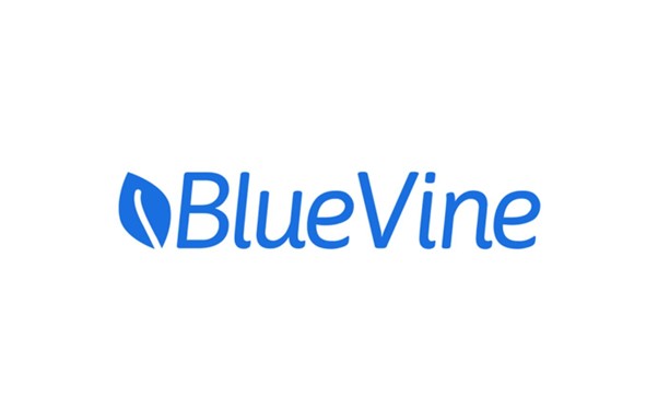Bluevine Business Loan